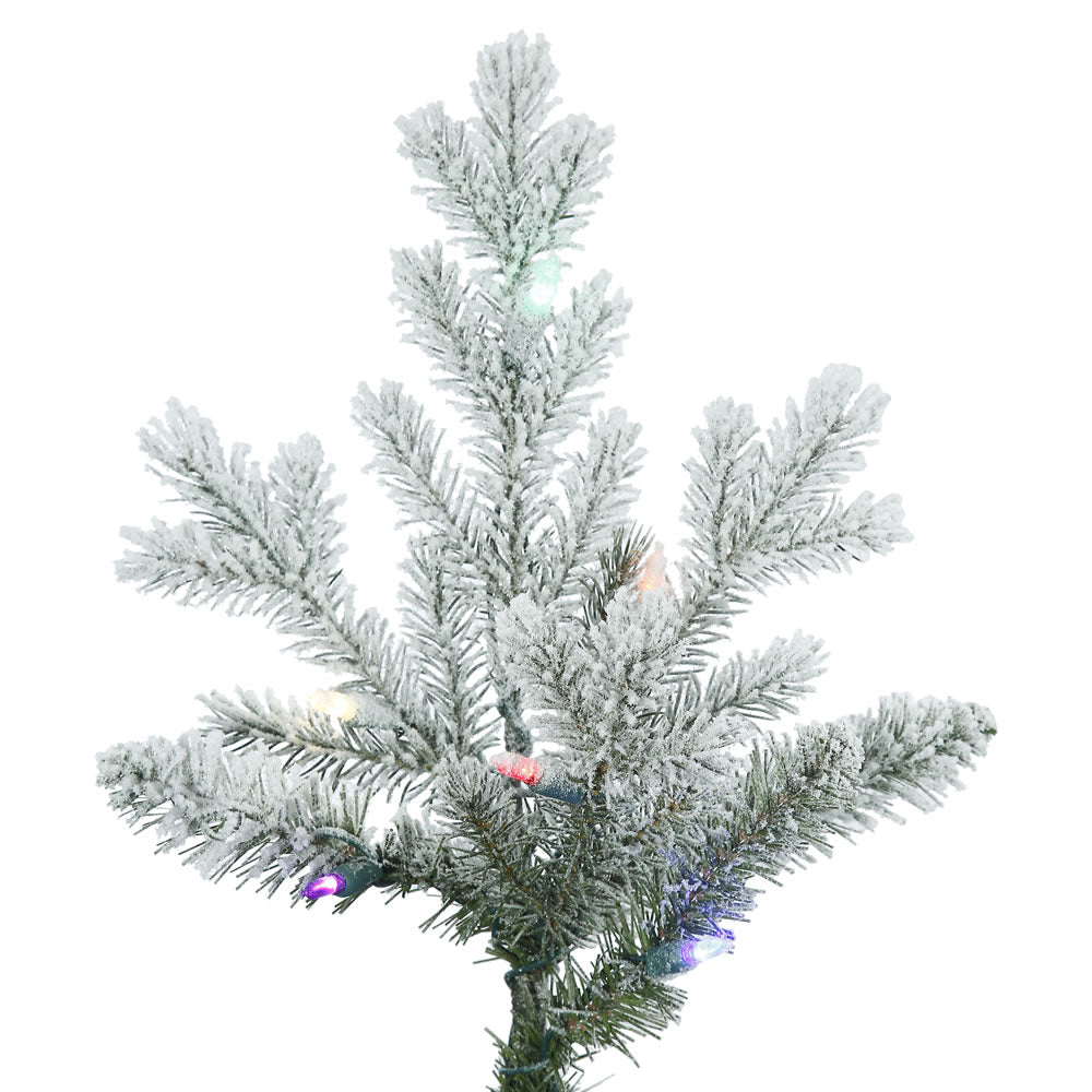 Vickerman 10' Frosted Eastern Fraser Fir Artificial Christmas Tree Multi-colored Dura-Lit LED lights - Cheap-Us
