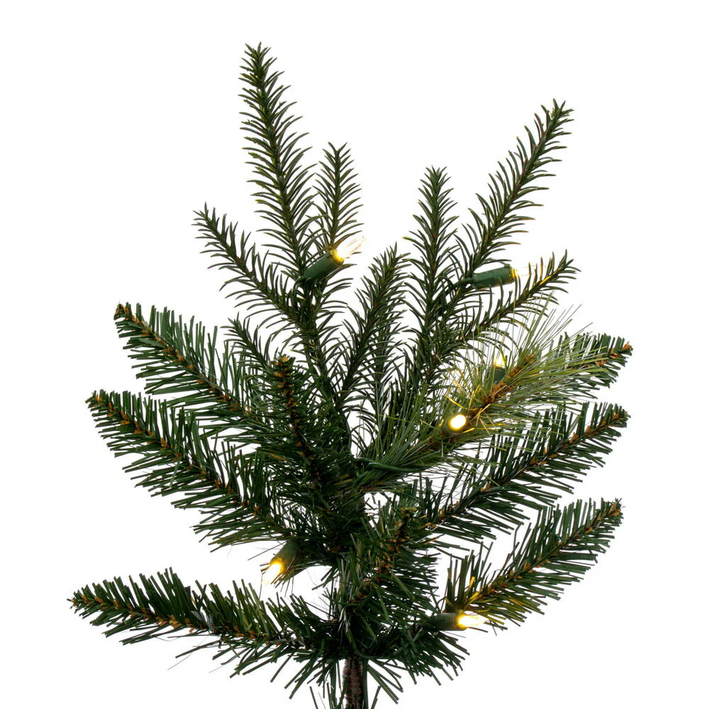Vickerman 9' x 58