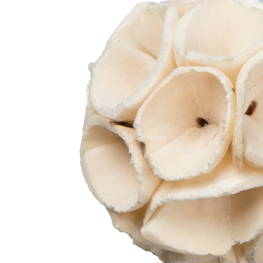 Vickerman Natural Botanicals 1.6