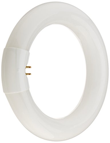 Bulbrite FC6T9CW 20 Watt Fluorescent Circline T9 Bulb, G10q Base, Cool White - Cheap-Us