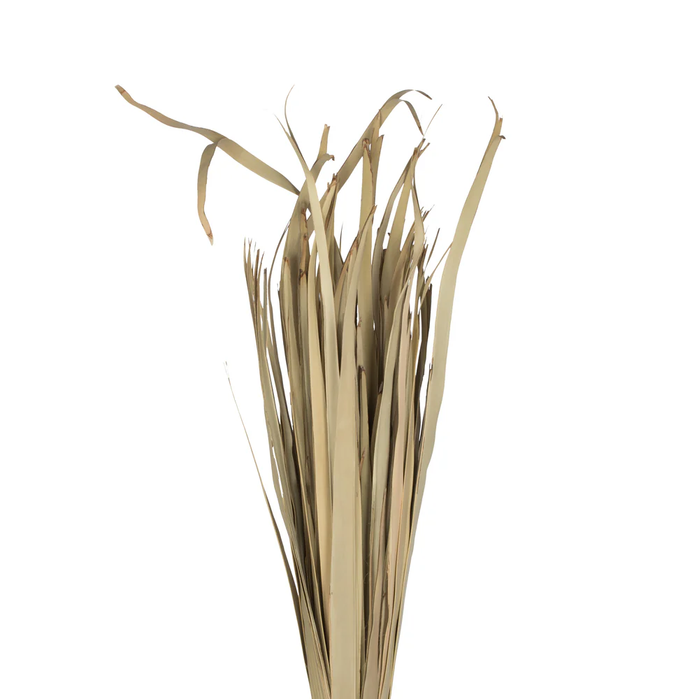 Vickerman Natural Botanicals 40