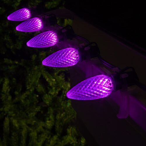 25-Light LED C9 Light Set; Purple Bulbs on Green Wire, Approx. 16'6