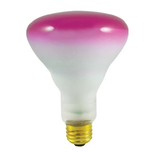 Bulbrite 75BR30P 75 Watt BR30 Reflector, Medium Base, Pink - Cheap-Us