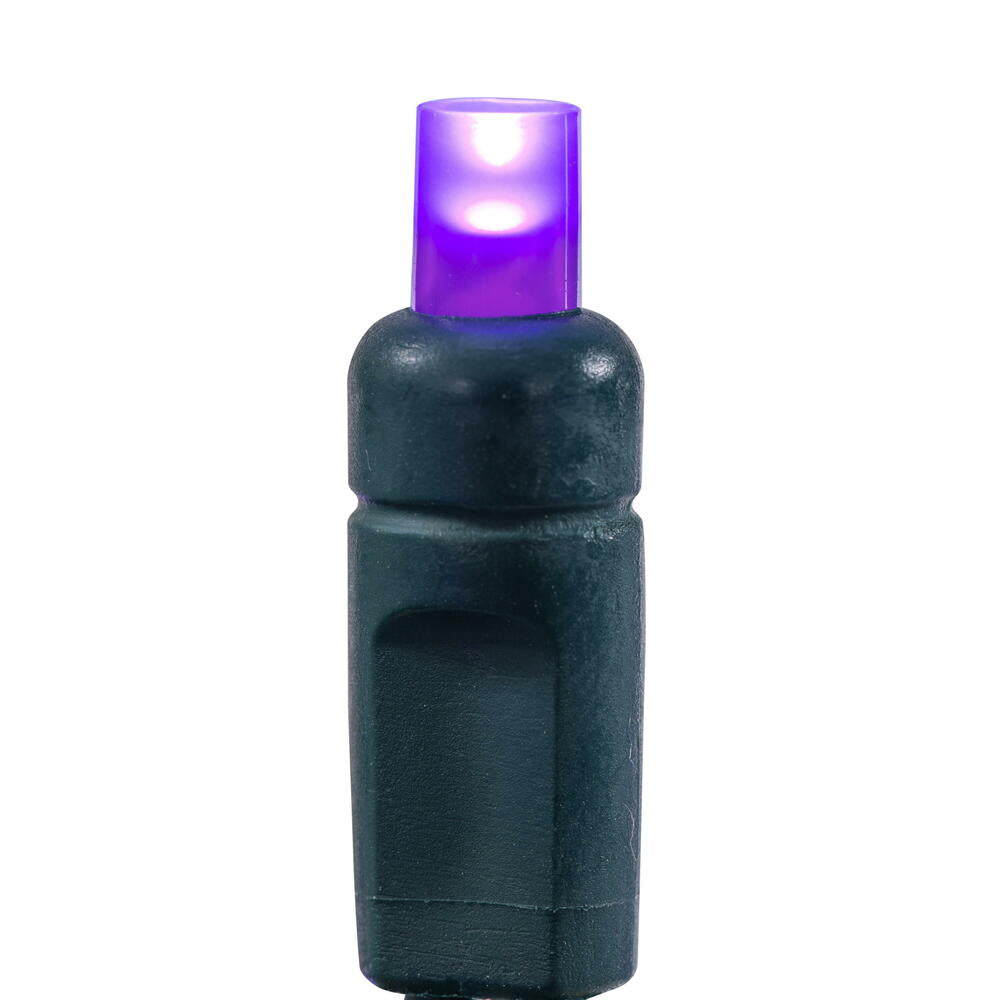 Vickerman 50 Frosted Purple Wide Angle Single Mold End-Connecting LED Light Set with 22 Gauge Green Wire, 3