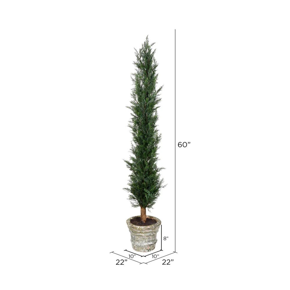 Vickerman 60