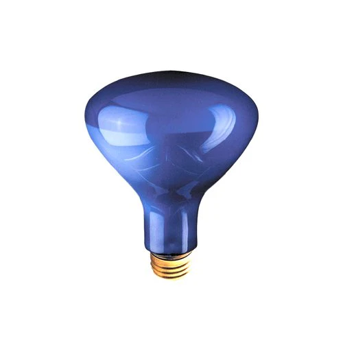Bulbrite 75R30PG 75 Watt Incandescent Plant Grow R30 Reflector, Medium Base, Blue - Cheap-Us