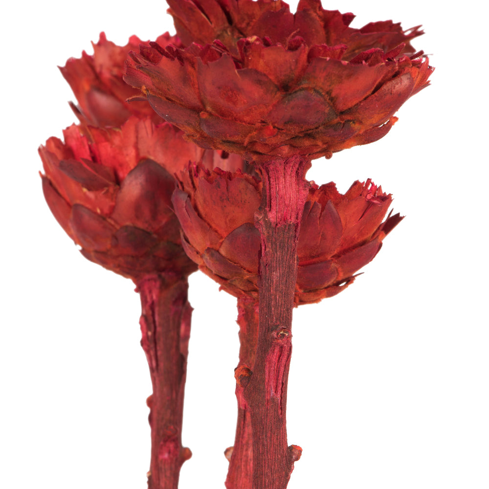 Vickerman 8-12