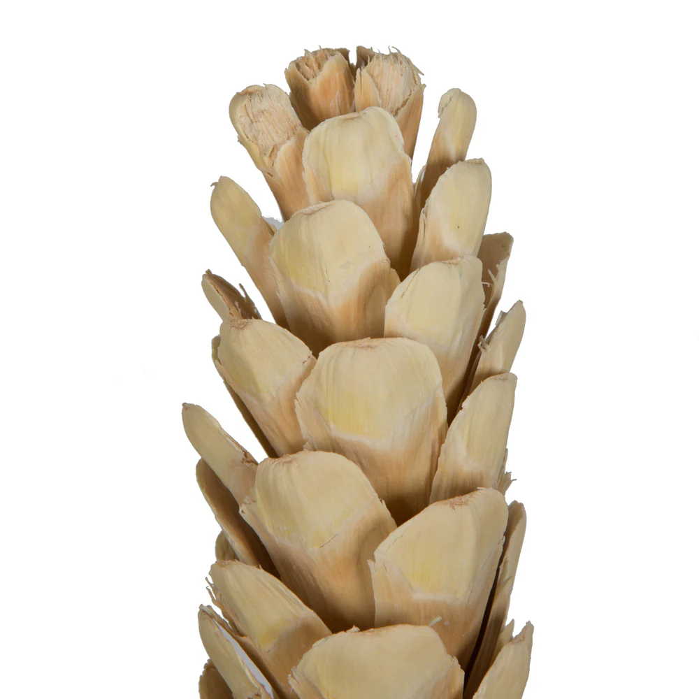 Vickerman Natural Botanicals 5.9