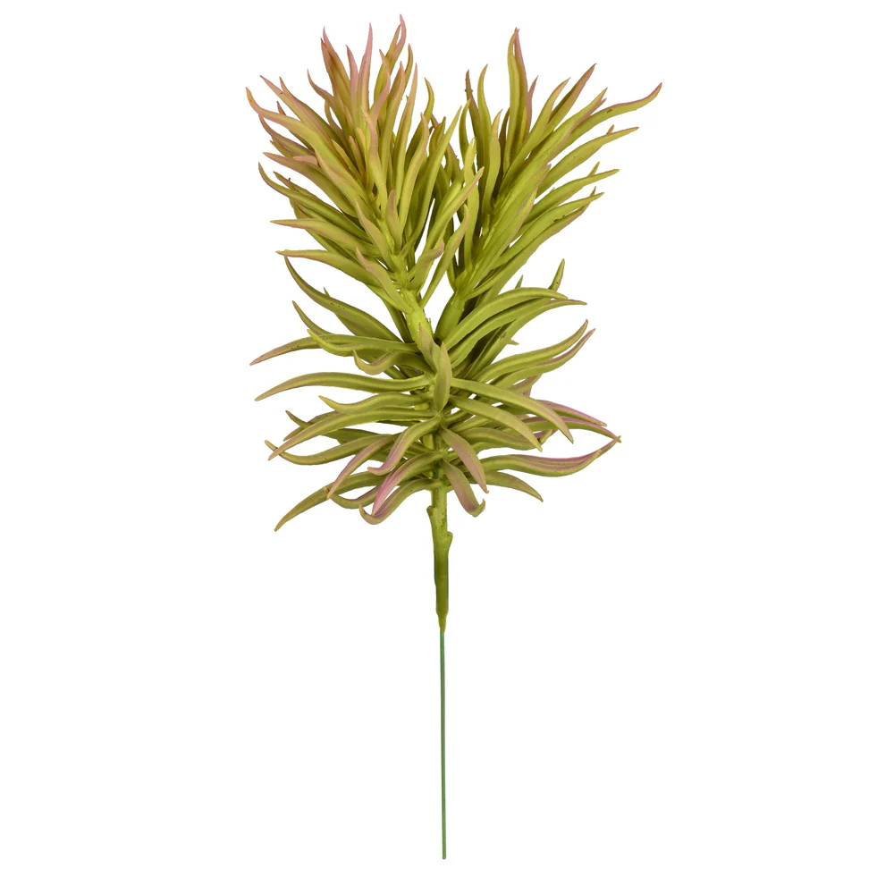 Vickerman 8