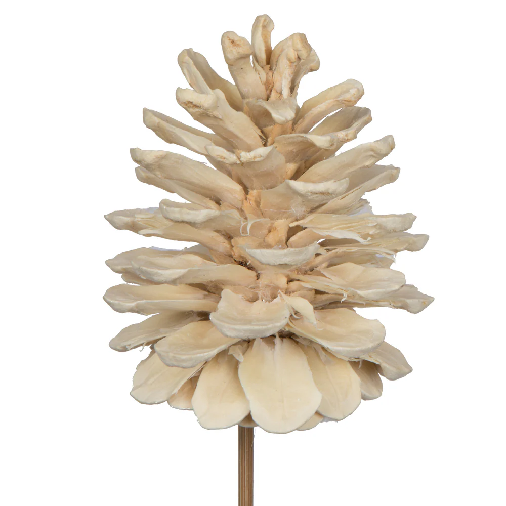 Vickerman Natural Botanicals 2