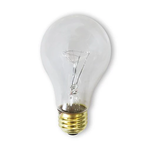 Bulbrite 100A/CL/RS-2PK 100 Watt Incandescent A19 Rough Service Bulb, Clear, 2 Pack - Cheap-Us