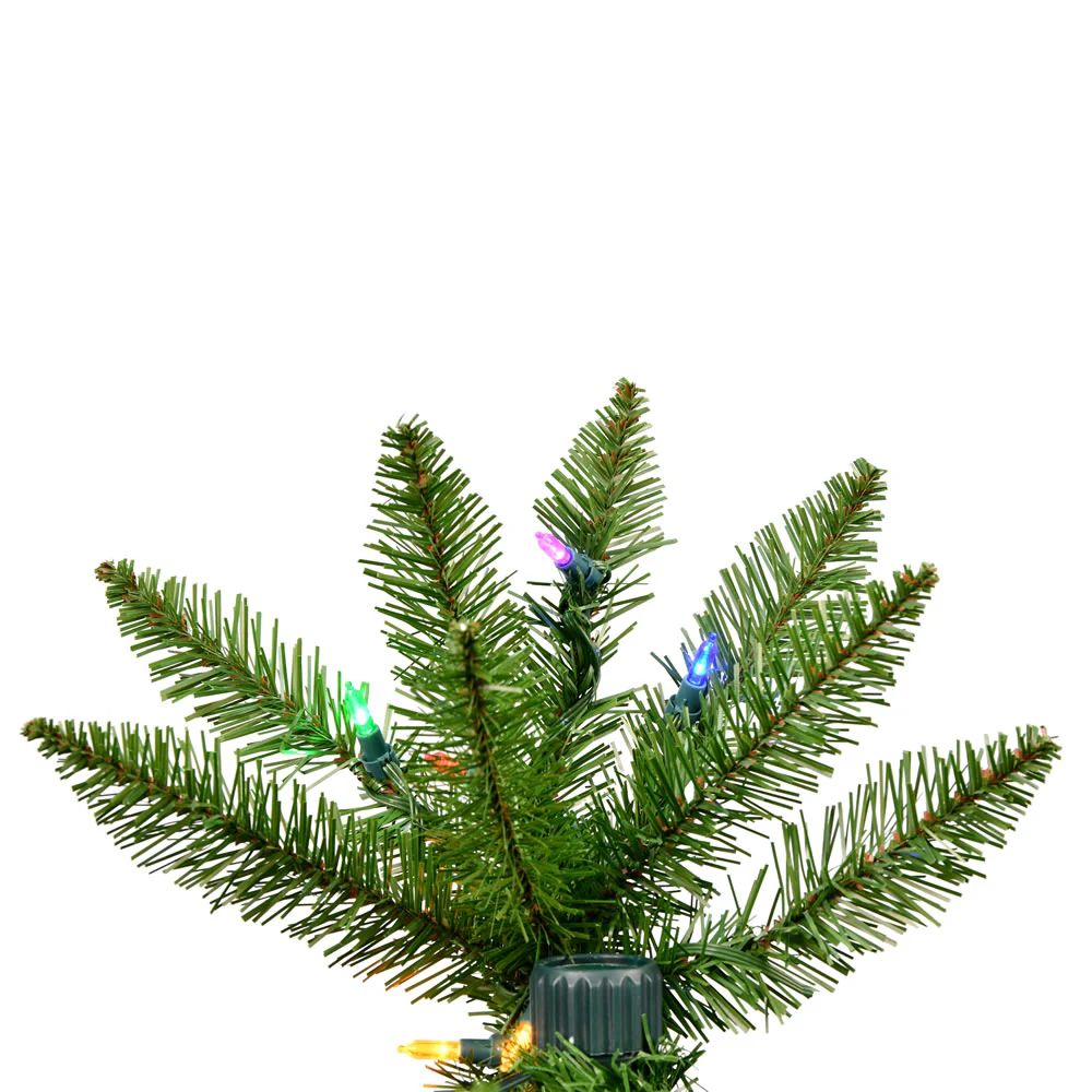 Vickerman 12' x 58