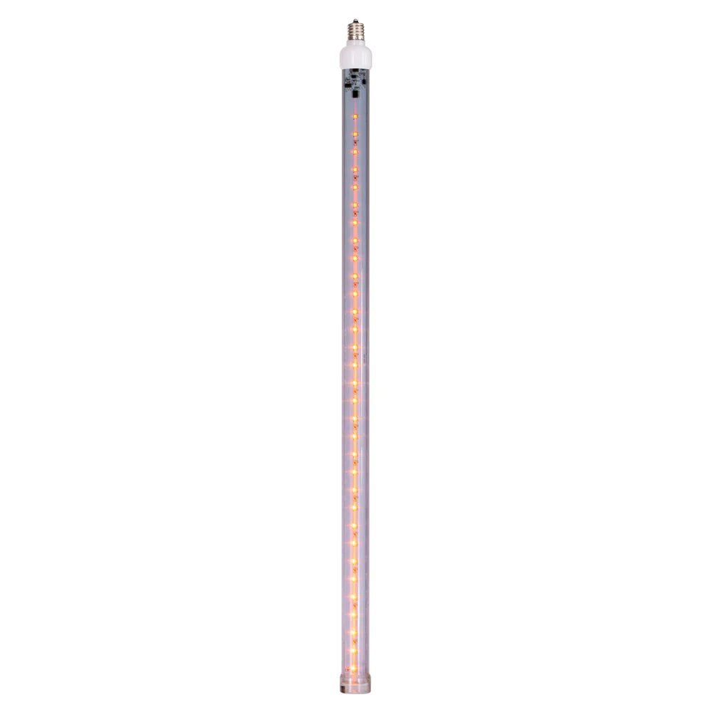 Vickerman 5 Pack of 24