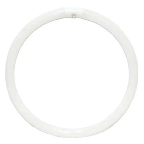 Sylvania 20059 - FC16T9/CW/RS Circular T9 Fluorescent Tube Light Bulb - Cheap-Us