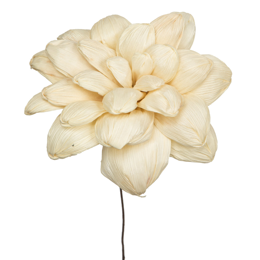 Vickerman Natural Botanicals 6