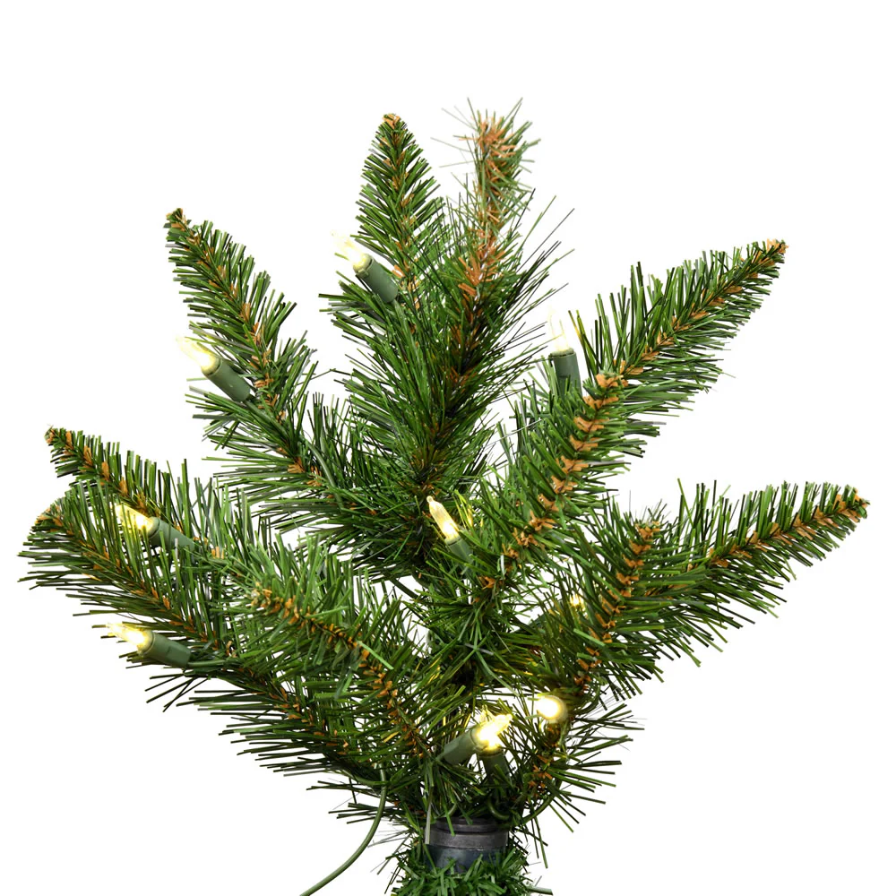 Vickerman 9' x 64