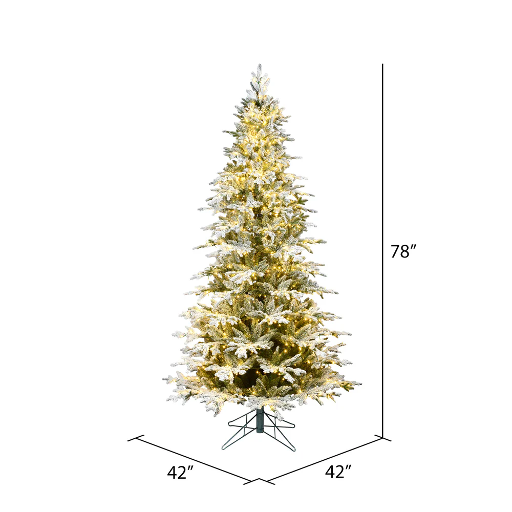 Vickerman 6.5' x 42