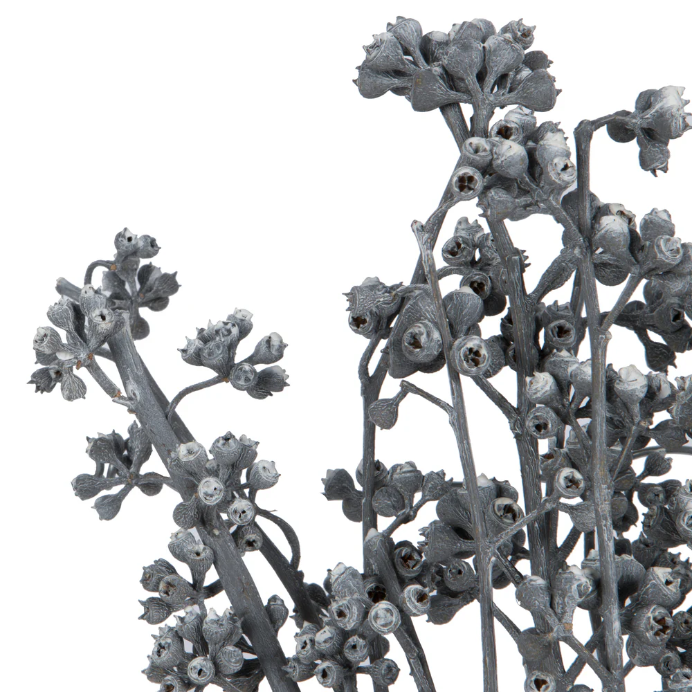 Vickerman Natural Botanicals 13