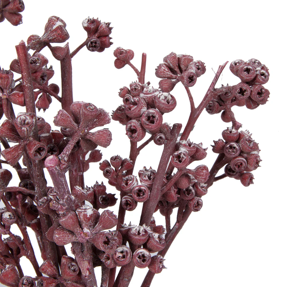 Vickerman Natural Botanicals 13