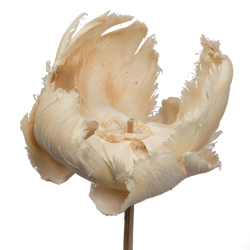 Vickerman Natural Botanicals 2.75