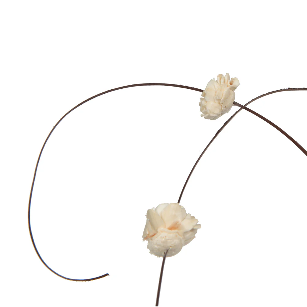 Vickerman Natural Botanicals 40