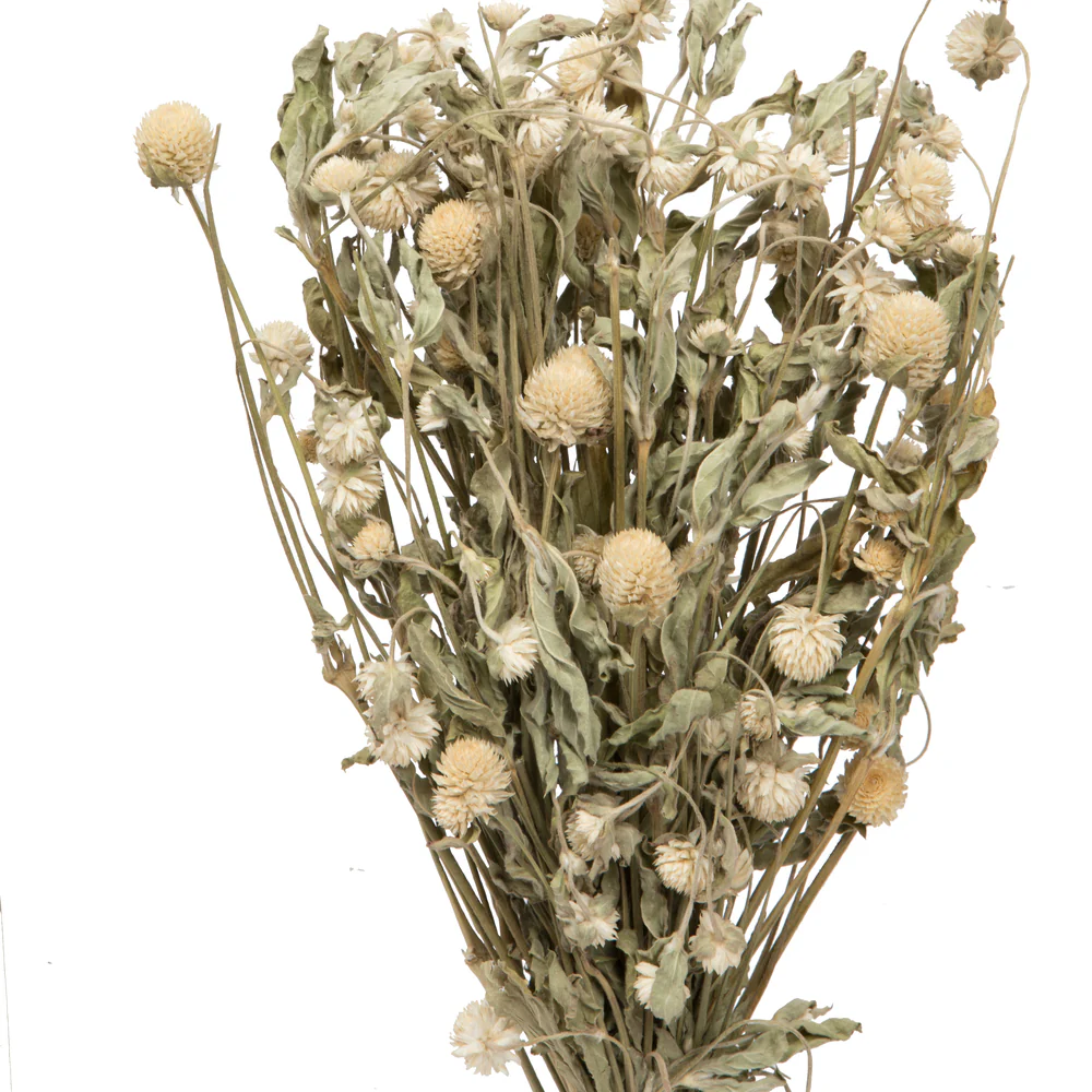 Vickerman Natural Botanicals 17-19