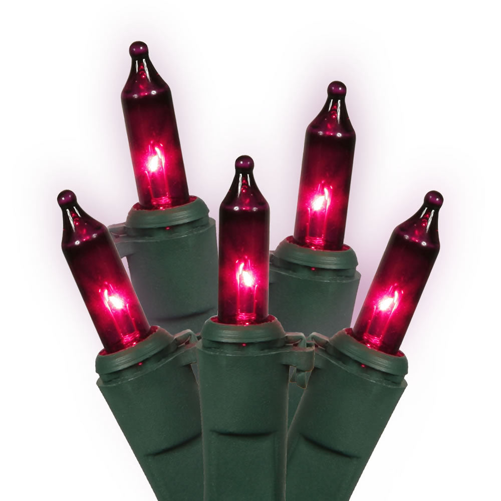 Vickerman 100 Purple Mini Light Icicle Light on Green Wire, 9' Christmas Light Strand- 2 Pack - Cheap-Us