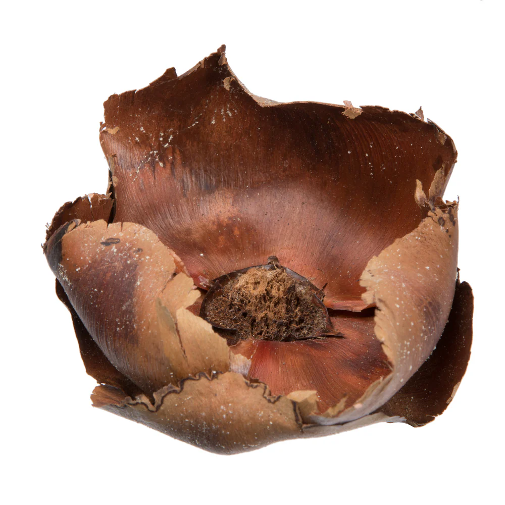 Vickerman Natural Botanicals 2.75