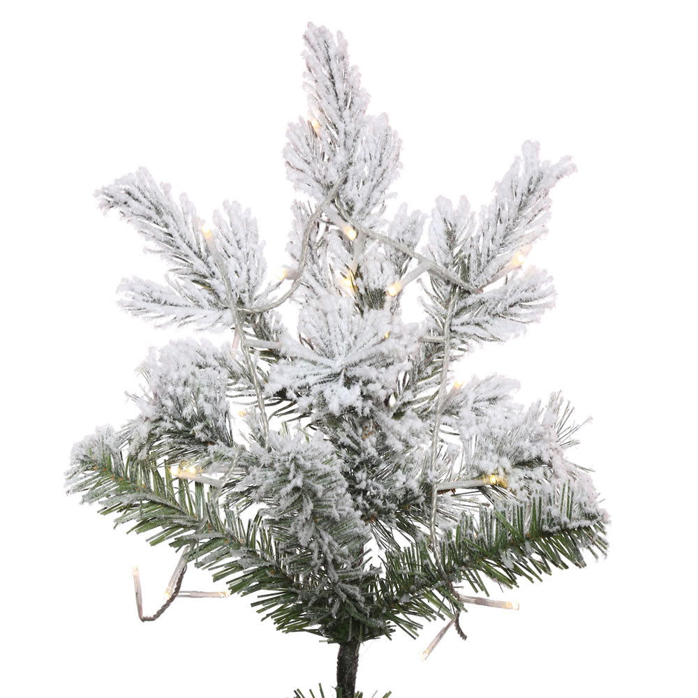 Vickerman 6.5' x 39