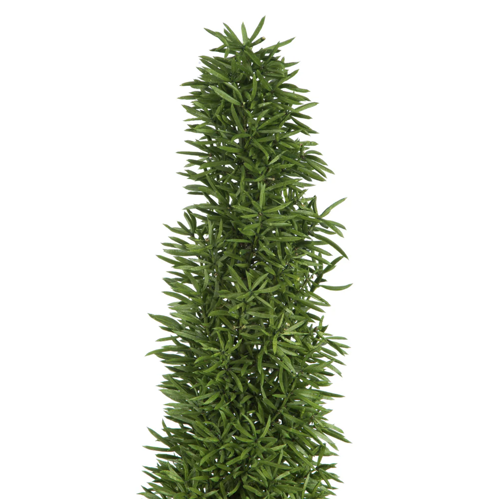Vickerman 8-10