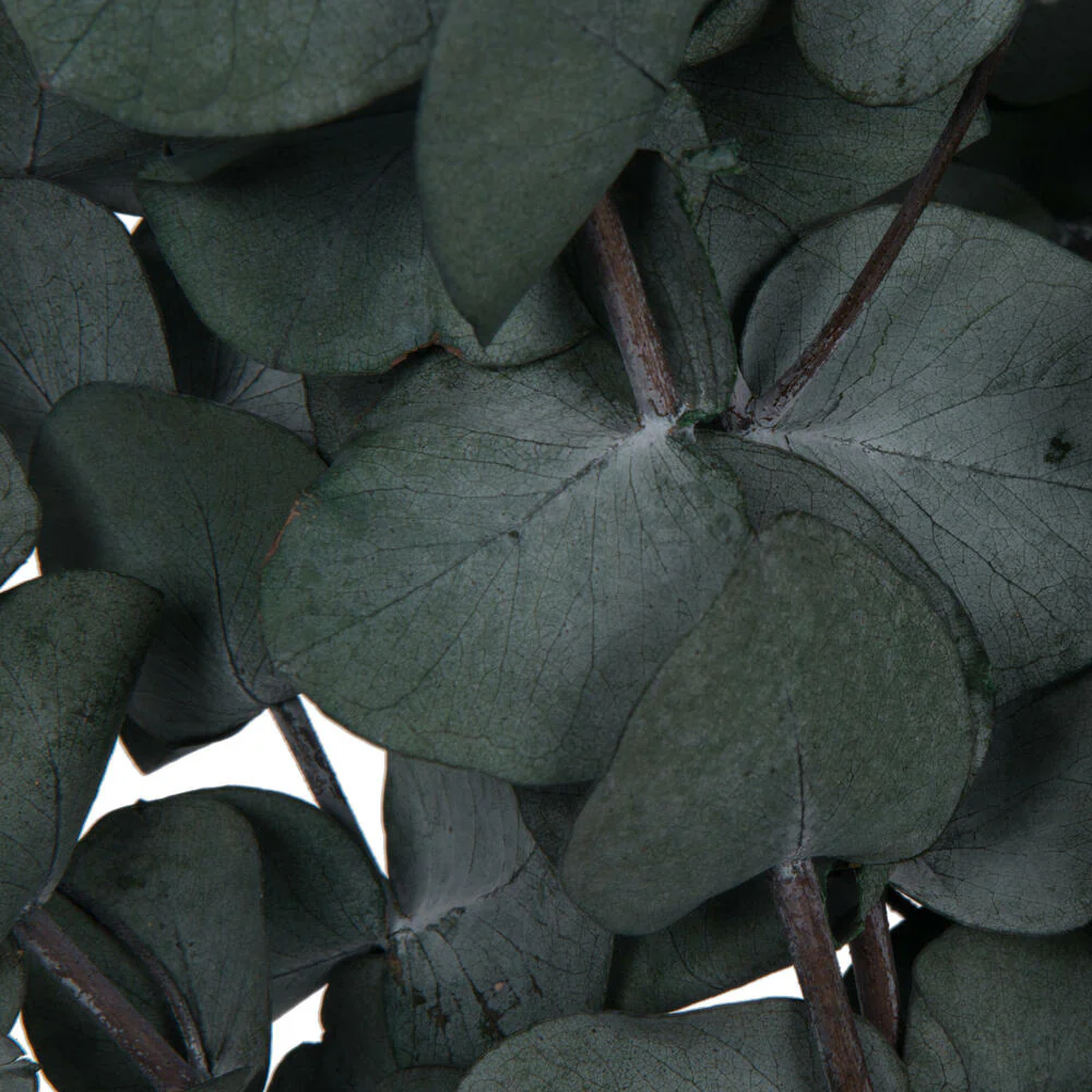 Vickerman Natural Botanicals 18-20