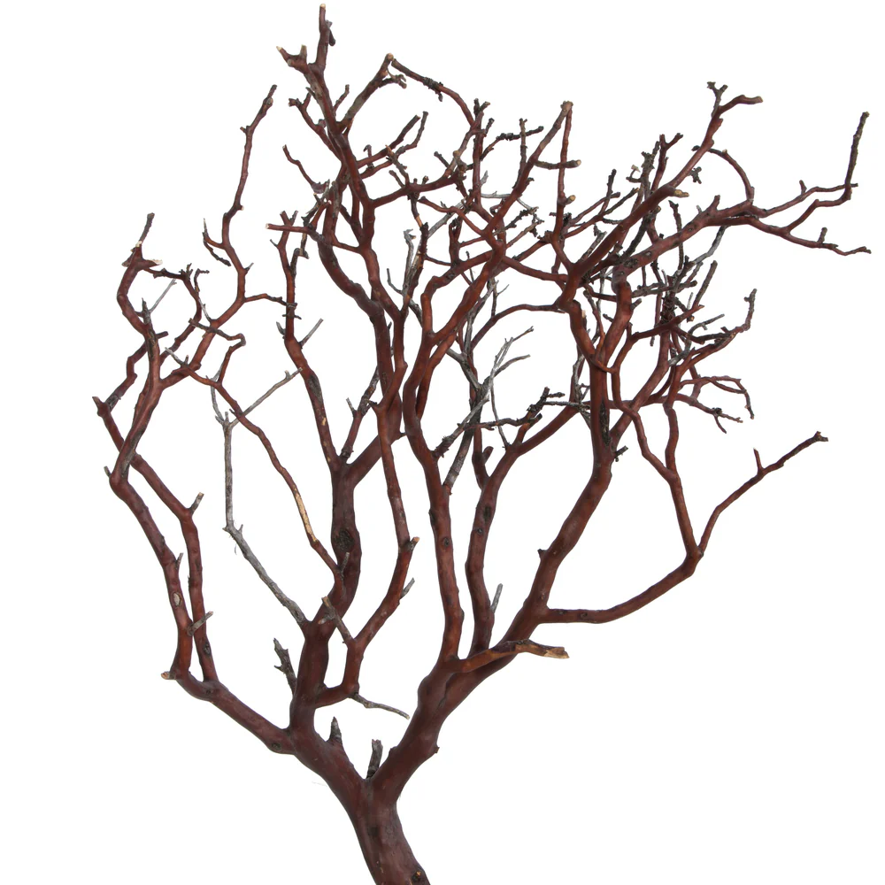 Vickerman Manzanita Tree Natural 24
