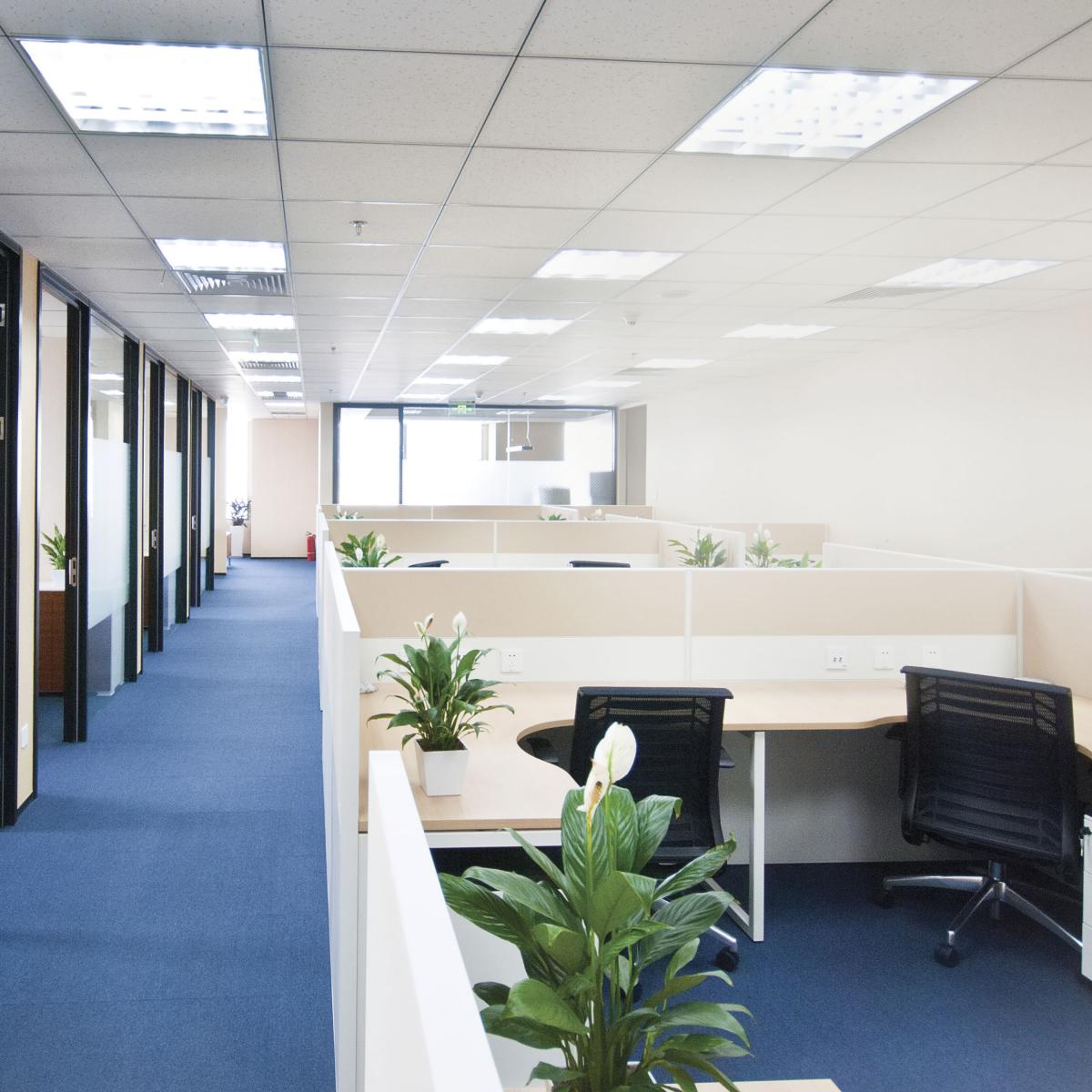 S49991 10T8/LED/36-835/DR 10 Watt; 3 Foot LED T8; Medium Bi Pin base; 3500K; 50000 Average rated hours; 1450 Lumens; Type A; Ballast dependent - Cheap-Us