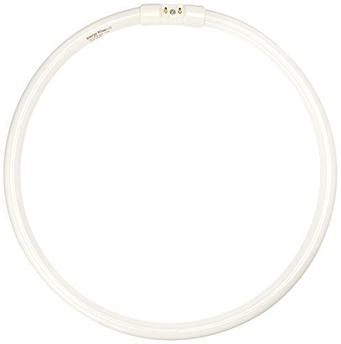 Bulbrite FC12T5/830 12 Watt Fluorescent Circline T5 Bulb, 800 Series, 2GX13 Base, Soft White - Cheap-Us