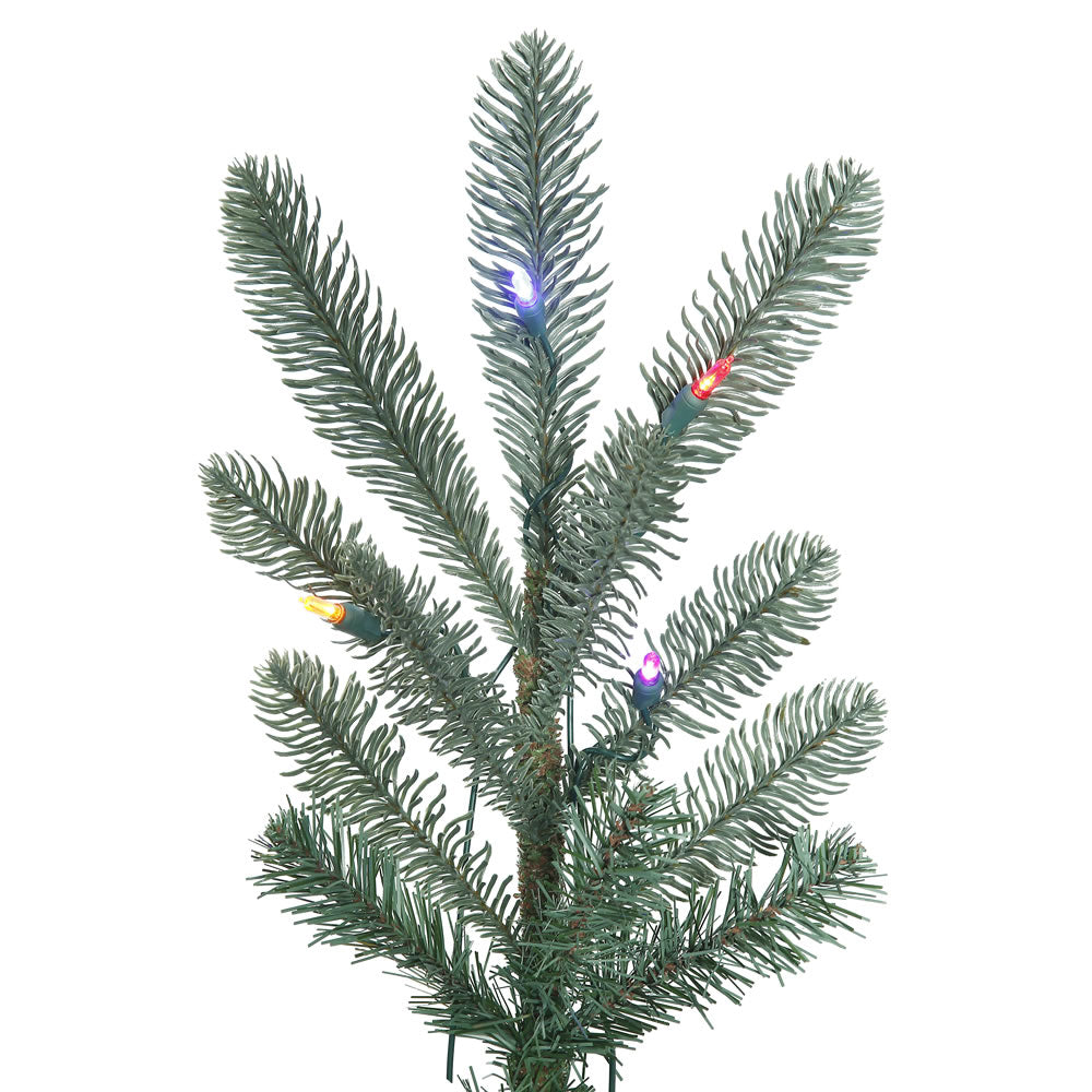 Vickerman 12' Alberta Blue Spruce Artificial Christmas Tree Multi-colored Dura-Lit LED lights - Cheap-Us