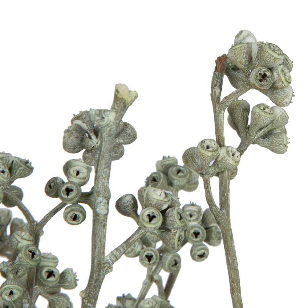 Vickerman Natural Botanicals 13