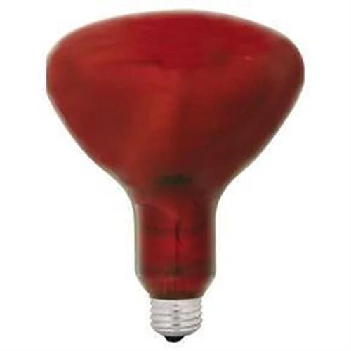 375R40/10 RED HEATLAMP 115V GE - Cheap-Us