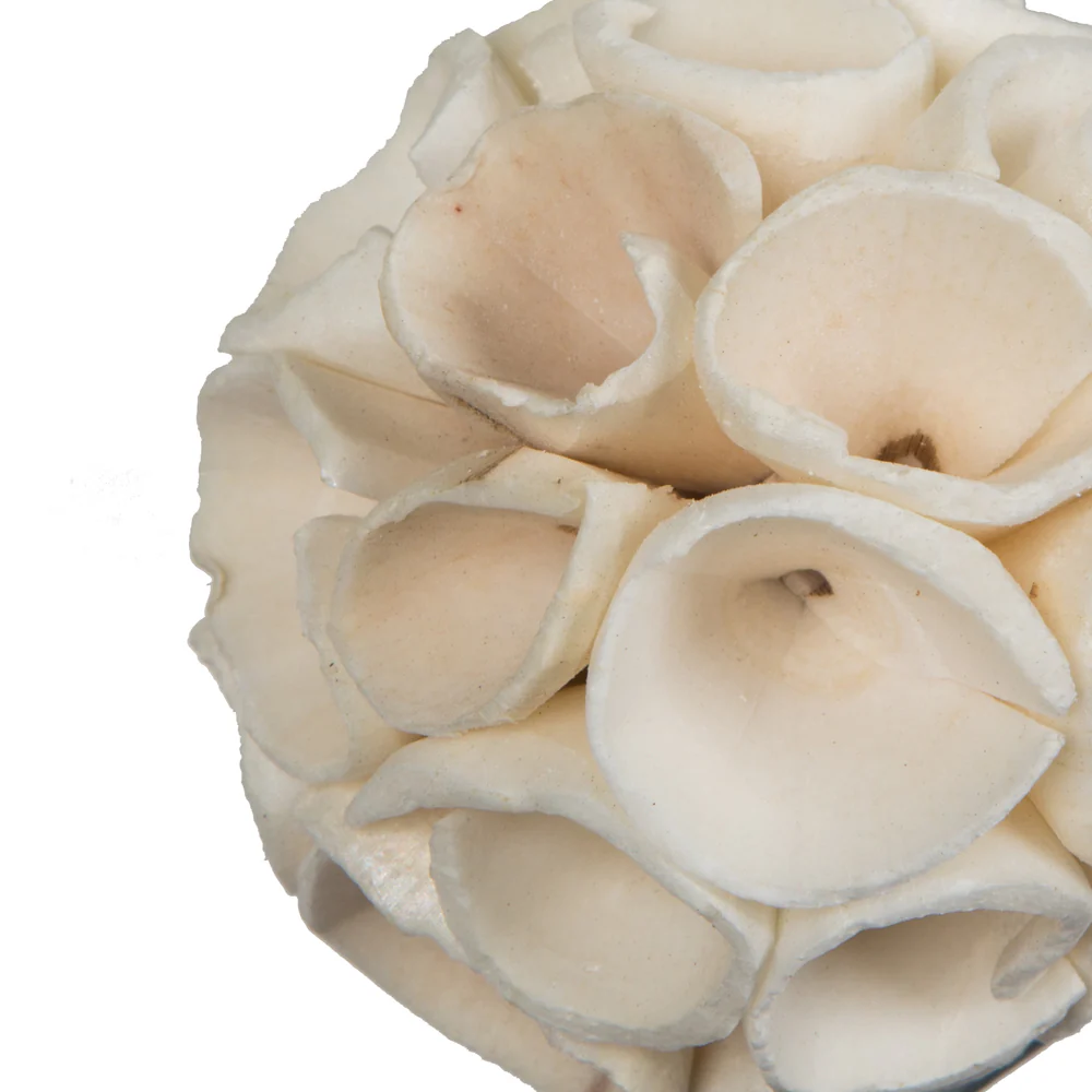 Vickerman Natural Botanicals 2.4