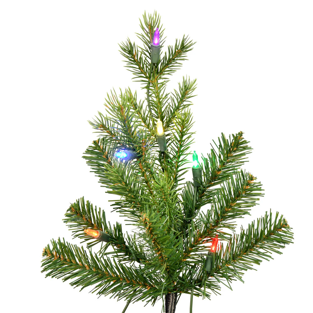 Vickerman 9' x 43