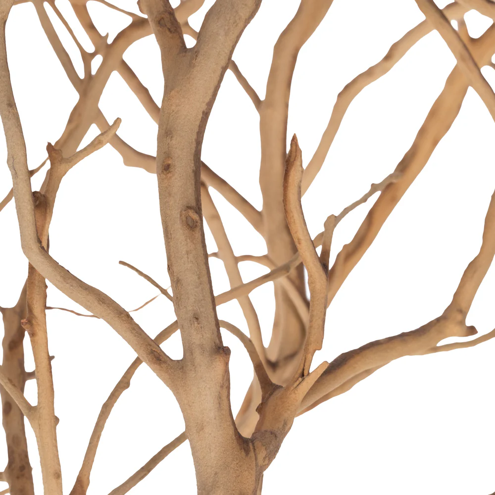 Vickerman Manzanita Tree Sand Blasted 36