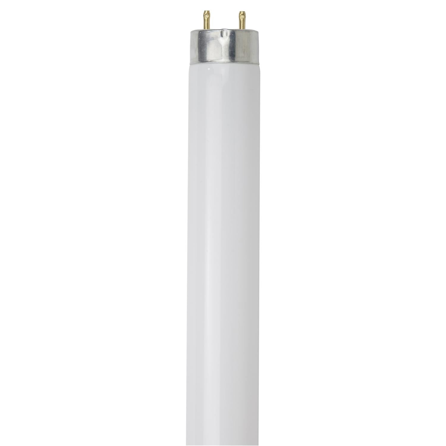 Sunlite F32T8/SP865/30PK 32 Watt T8 High Performance Straight Tube Medium Bi-Pin (G13) Base, 6500K Daylight - Cheap-Us