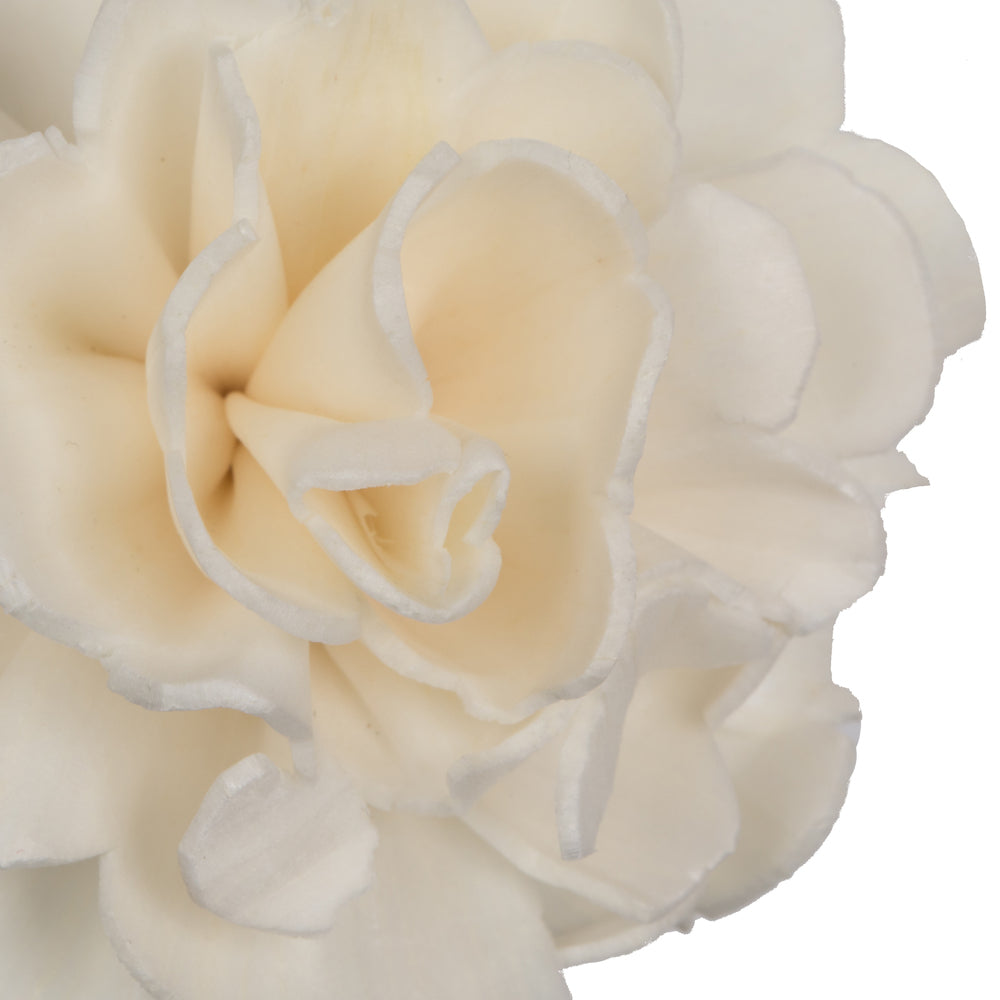 Vickerman Natural Botanicals 1.6