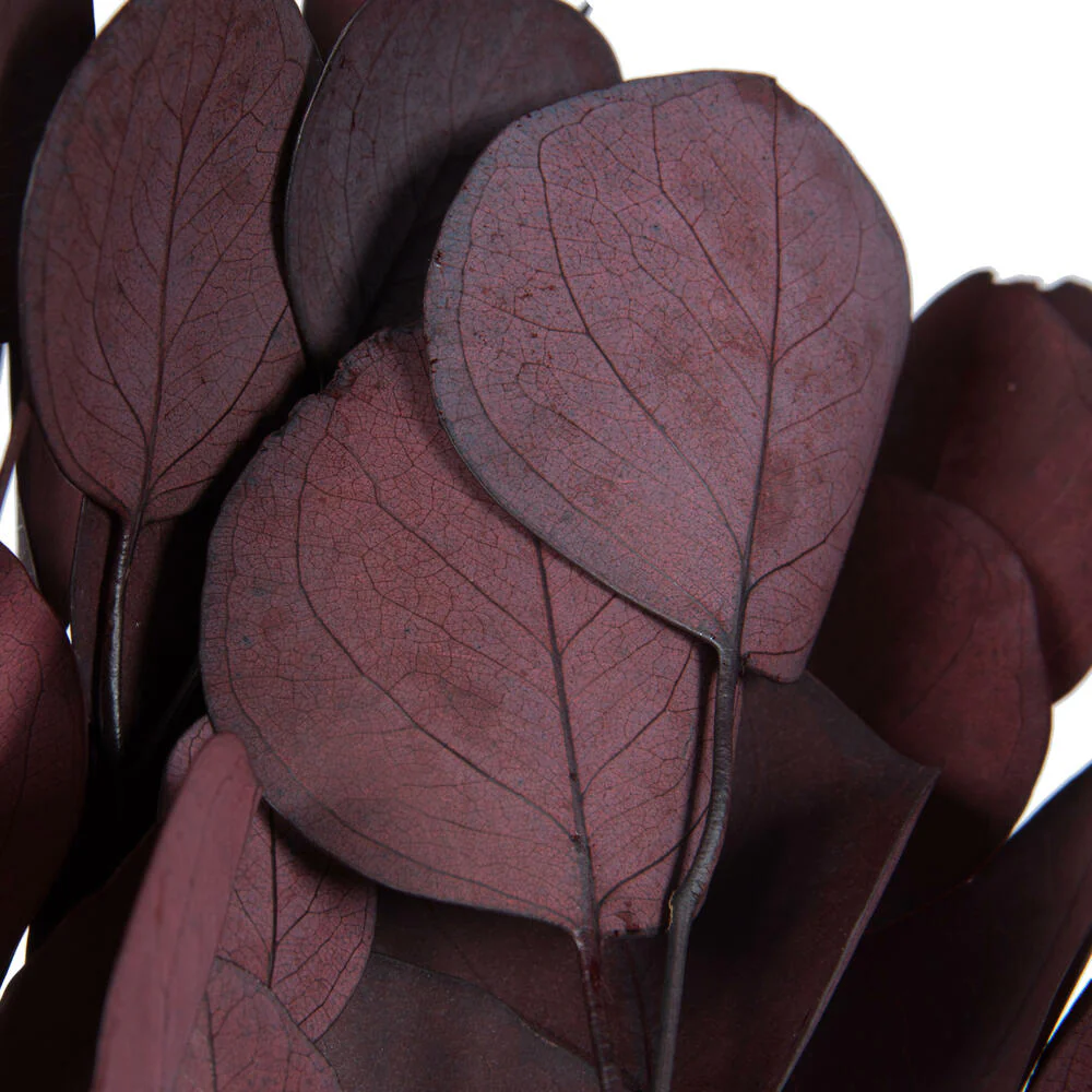 Vickerman Natural Botanicals 18-20