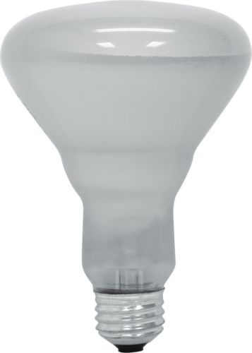 GE Lighting 20332 65-Watt 700-Lumen R30 Spot Light Bulb, Soft White - Cheap-Us