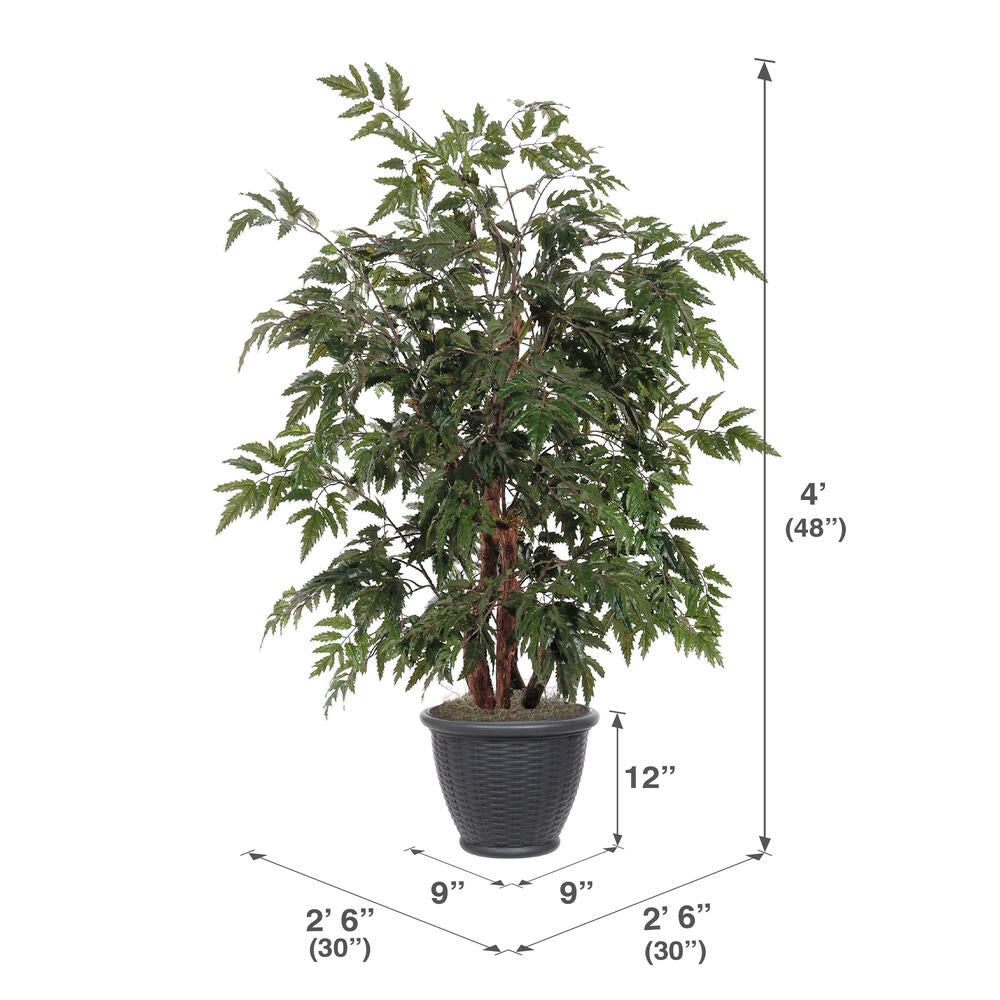 Vickerman 4' Artificial Ming Aralia Bush Gray Round Plastic Container. - Cheap-Us