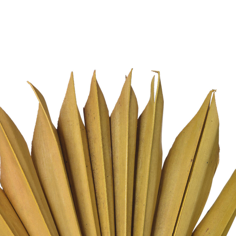 Vickerman Natural Botanicals 13.75 - 19.5