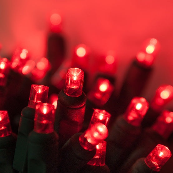 50 Light LED Conical (5MM) Light Set Red Bulbs on Green Wire, Approx. 17'4
