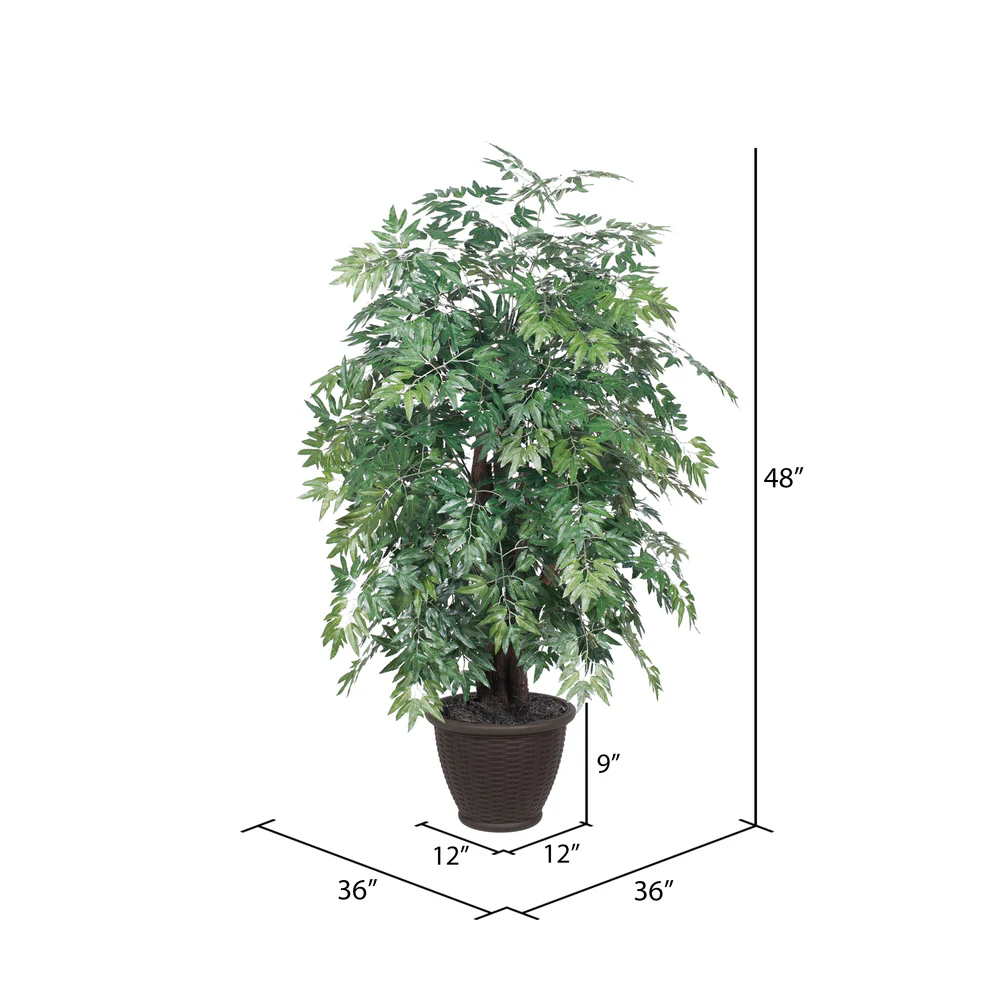 Vickerman 4' Artificial Ming Aralia Extra Full Bush Brown Plastic Container. - Cheap-Us