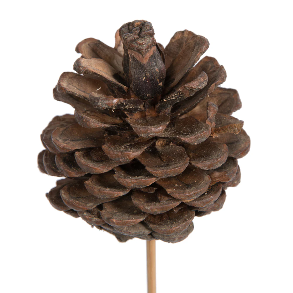 Vickerman Natural Botanicals 2