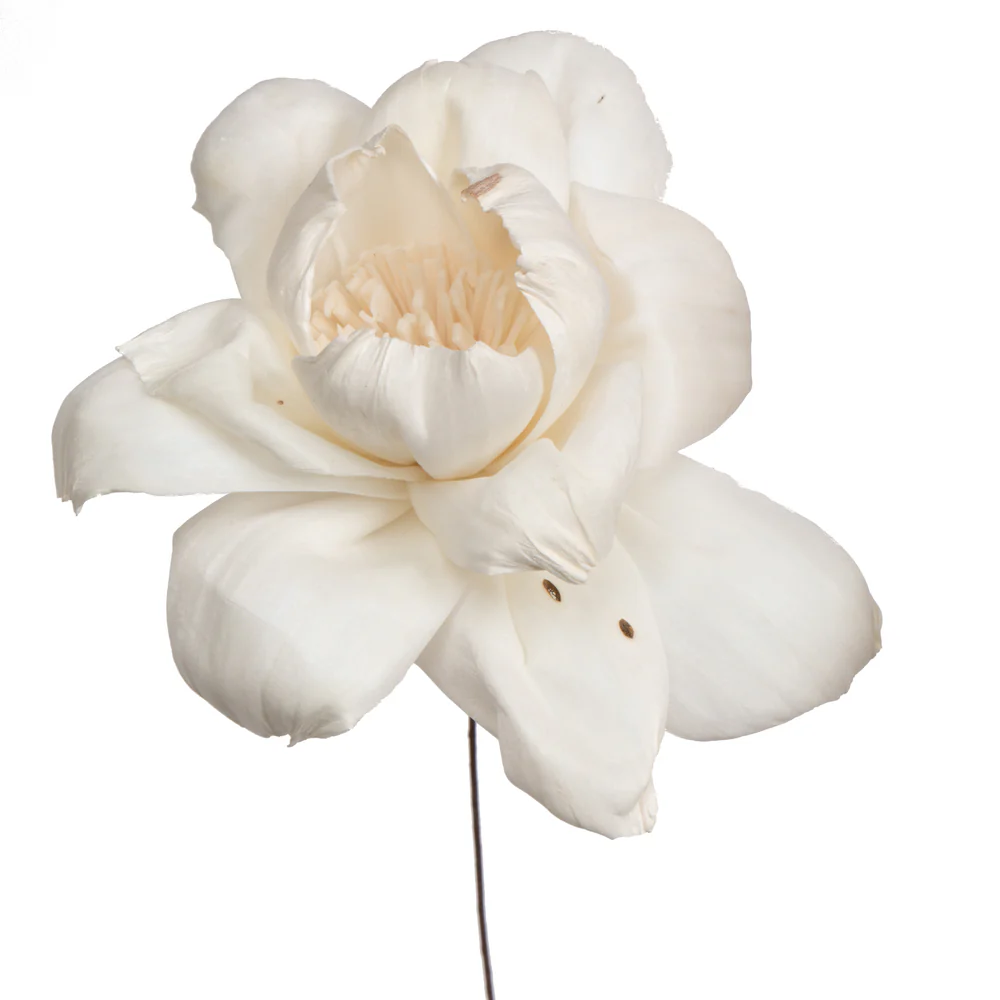 Vickerman Natural Botanicals 4